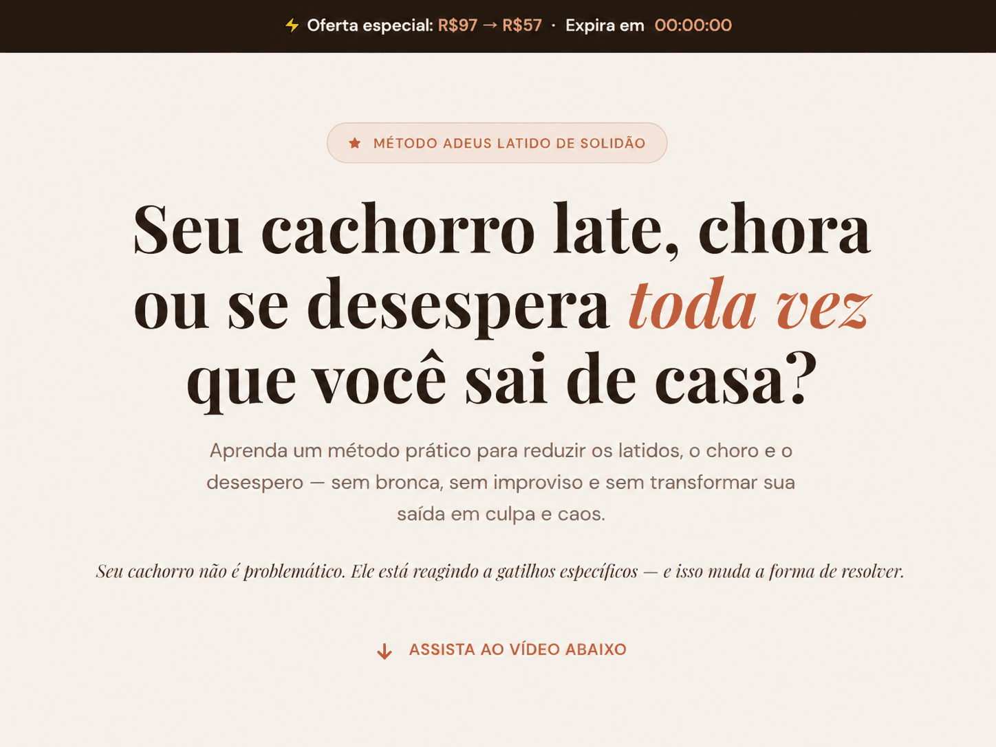 Print do projeto Adeus Latido de Solidão